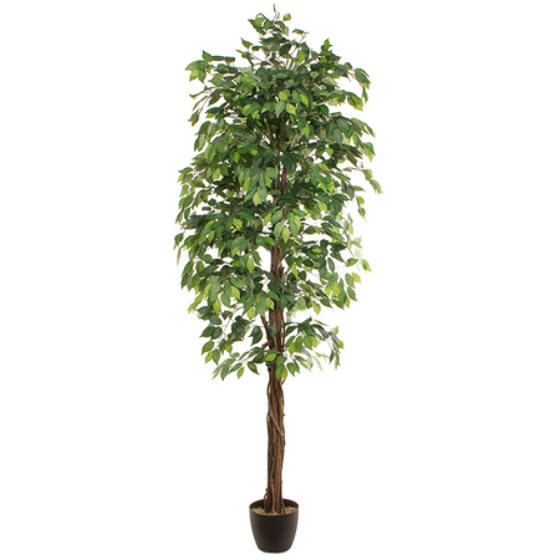 Kunsttaim FICUS 2.40 m